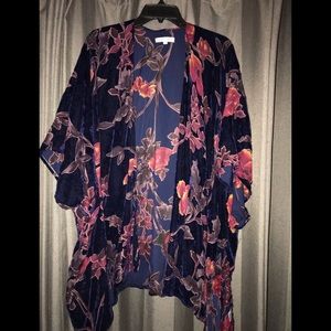 Blue velvet kimono